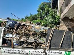 Best Commercial Junk Removal  in Pea Ridge, WV